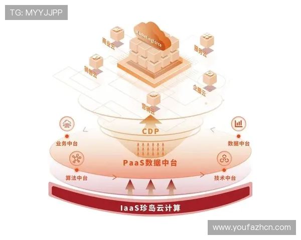 新澳博：如何通过数字化转型提升品牌竞争力